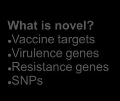 Virulence genes