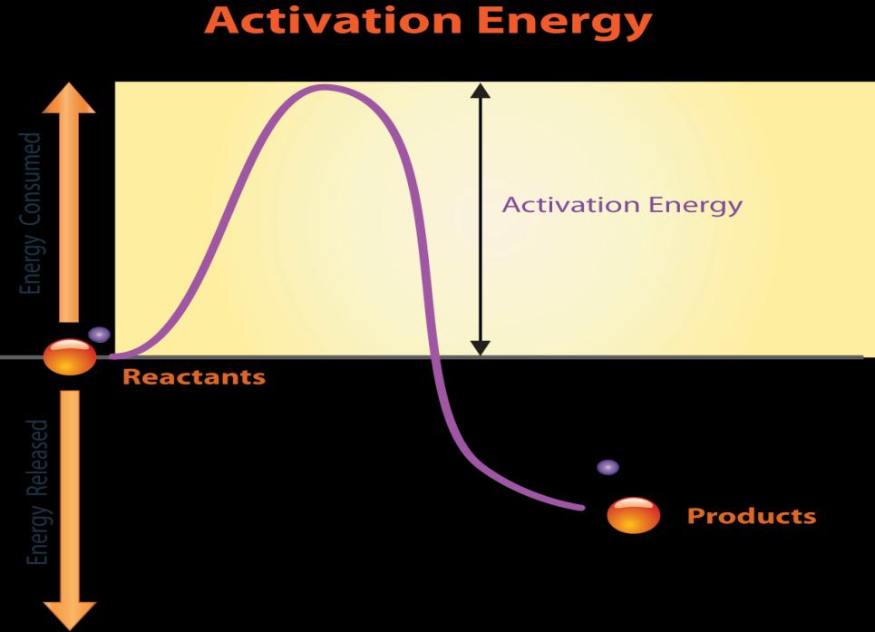 Conservation of Matter The QUANTITY of each element does change Reactants elements = Products elements # of atoms of each element appears on each side of the reaction arrow Exothermic Reactions heat