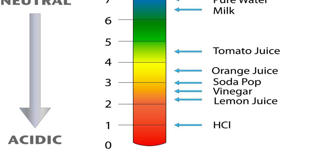 Acids and Bases = measure of hydronium ions (H3O + ) in a solution Use ph scale to measure ph 7 = (pure water) ph below 7 = acidic strongest is closer to ph above 7 = basic