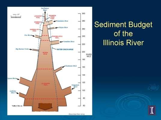Illinois River Main Valley River is not actively meandering Sediment delivery much higher and hydrological regime less variable than prior to European settlement Both channel and backwater areas on