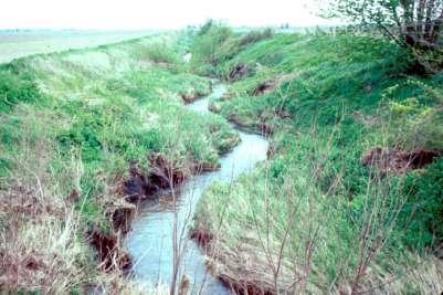 Headwaters Scale Net deposition occurring in many ditches over time (thus the