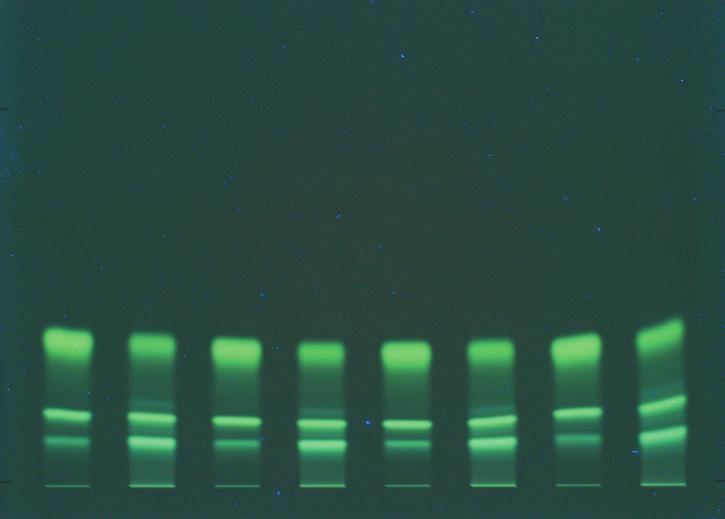 a composition test using an isocratic HPLC method. The HPTLC separating conditions are shown in Figure 3, together with the resulting chromatogram.