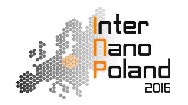 Activities www.internanopoland.com office@internanopoland.