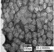 Electron microscopy photographs of TEM of nano-sized particles of BaCO 3 (A) and CaCO 3 (B) obtained in W/O microemulsion system (alkali solution/n- C 6 H 14 /C 20 H 37 NaO 7 S) and the following