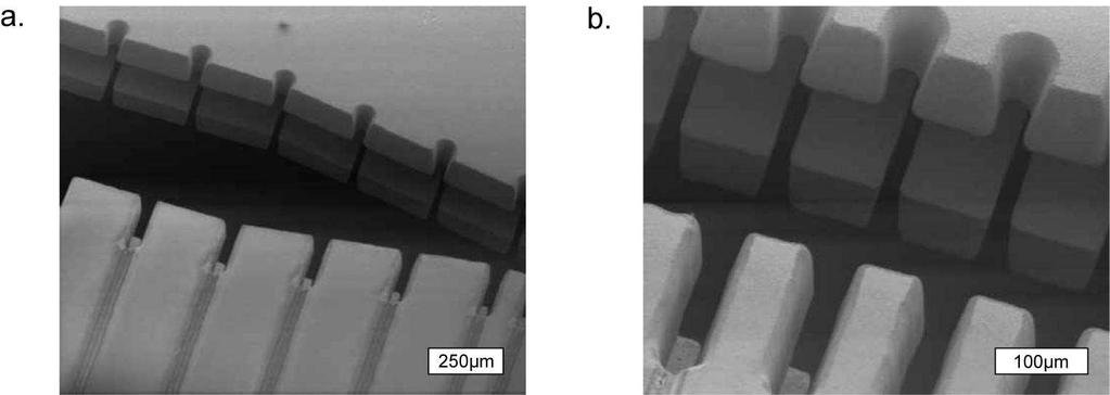 CONTENTS 6 Figure 3. Electron microscope picture of the loading region (a) and narrower processor region (b). The gold-coated finger structure and the laser cuts to define electrodes are visible.