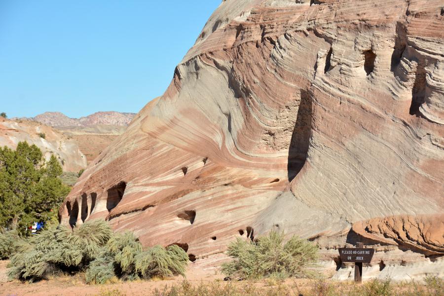Very mature Jurassic sandstone Navajo Formation, Paria River at U.S.