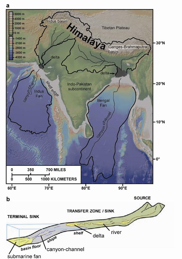 Continental Rise Turbidites leaving submarine canyons are deposited at the base of the