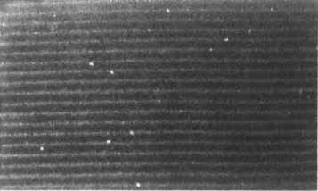 NON-DESTRUCTIVE EVALUATION OF MULTI-LAYERS [1849]/205 FIGURE 4 SEM images of (a) delaminated and (b) good actuators.