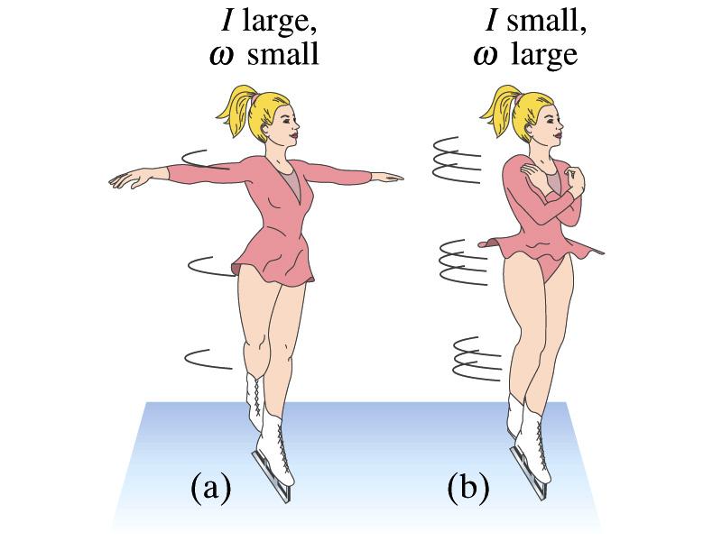 ConcepTest A figure skater spins with her arms extended. When she pulls in her arms, she reduces her rotational inertia and spins faster so that her angular momentum is conserved.