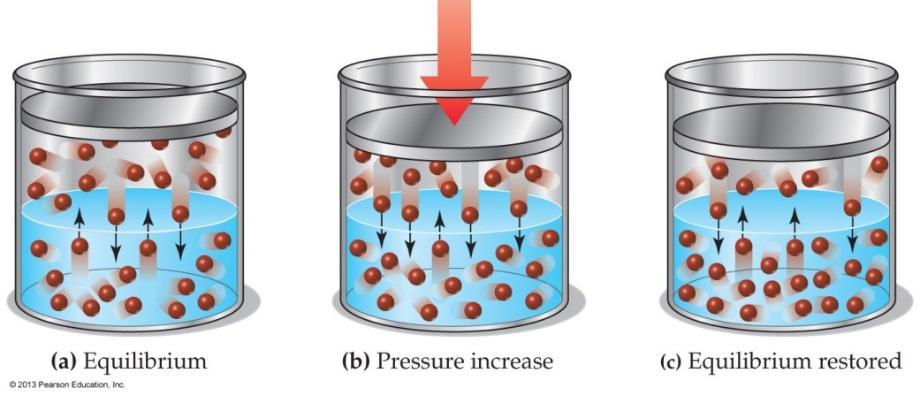 9.5 The Effect of Pressure on Solubility: Henry s Law Pressure has a strong effect on the solubility of a. [None on (l) and (s)].