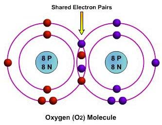 Electrons are shared between nonmetal atoms.
