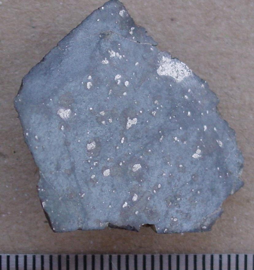 Figure 5: NWA 6454 specimen hand sample. The ruler shows 1 mm increments. NWA 5964 contains a large shock melt region (~1.5cm x ~2cm preserved area), in abrupt contact with chondrite. See Figure 6.