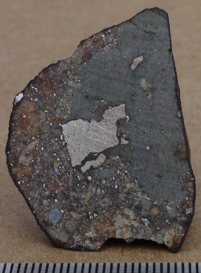 Figure 6: NWA 5964 specimen hand sample.