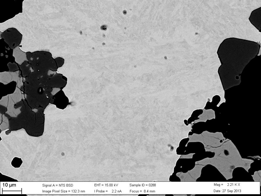 Figure 9: Composition (Ni wt%) of metal grains in NWA 4860 analyzed with EMP. Figure 10: Backscatter SEM micrograph of metal grains in NWA 4860.