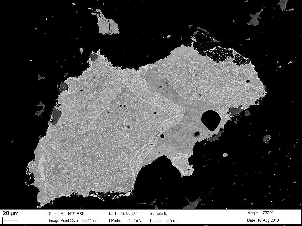 Figure 19: Backscatter electron micrograph of typical plessitic (transformed martensite) grain from