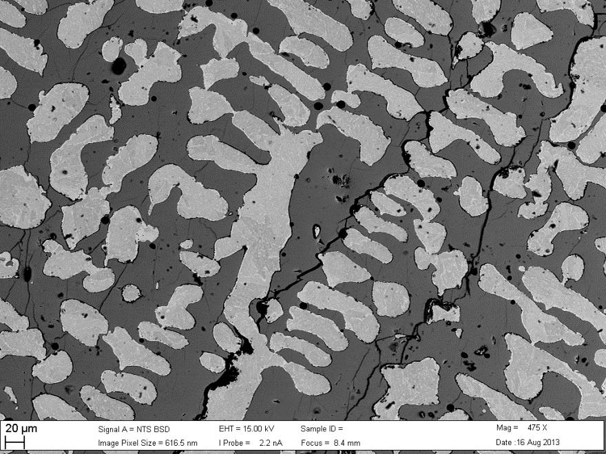 Figure 21: Backscatter electron micrograph of typical texture of metal-sulfide globules in the melted portion of NWA 5964 from thin section 4-1, showing dendritic (cellular), metal (white) that