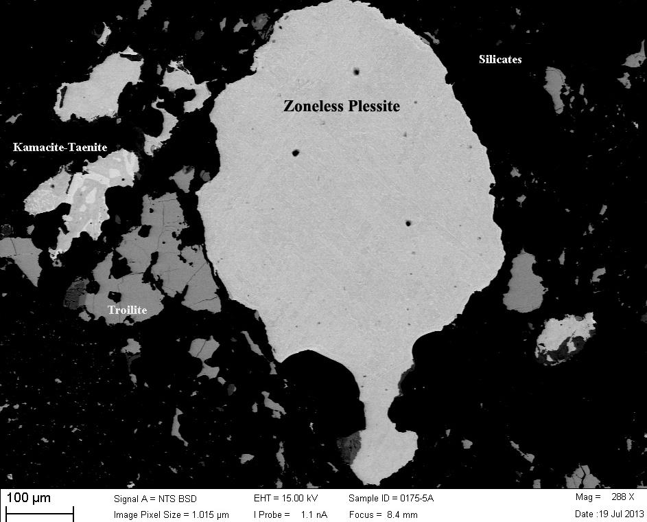 Figure 41: Backscattered electron micrograph of zoneless plessite grain from the chondritic portion of NWA
