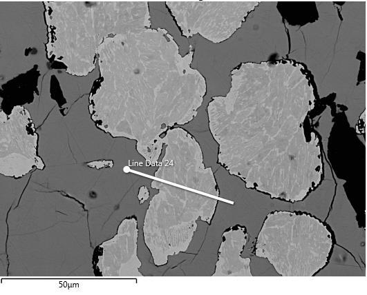 sample, NWA 4860, the metal is remarkably uniform (Figure 10), but lacks the microstructure of plessite and evidence for Ni-rich rims (Figure 17).
