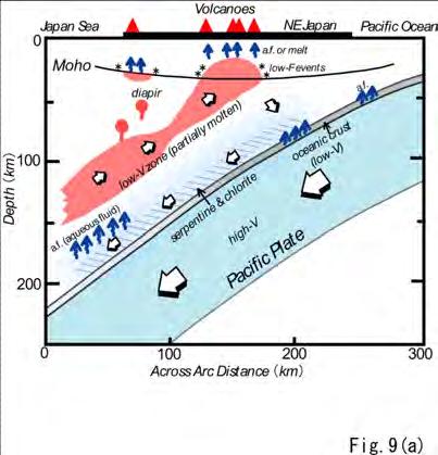 These observations strongly support an interpretation where low-temperature conditions associated with the slab slab contact zone beneath the Kanto area cause a delayed onset of eclogite-forming