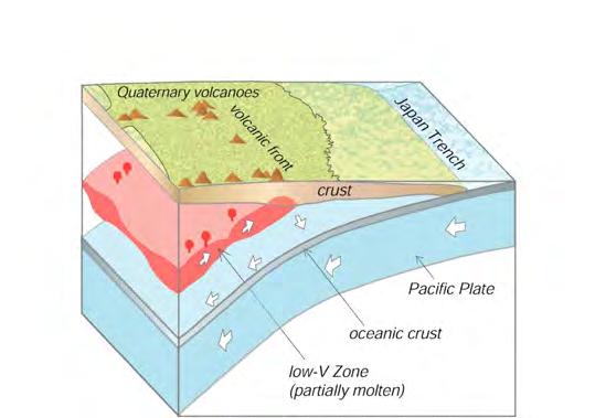 Transportation of aqueous fluids from slab to arc crust and formation of volcanic front H 2 O liberated from the slab during dehydration rises up to the mantle wedge right above the slab, where it
