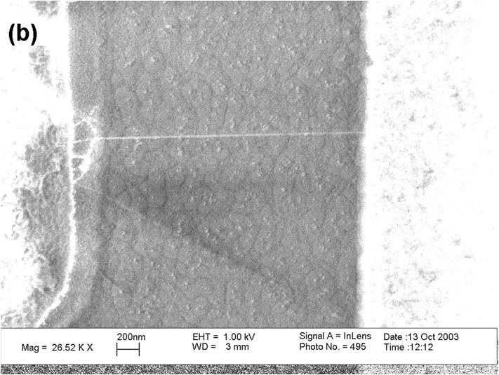 Carbon Nanotube + Silicon MOS Integrated Circuit 1x10-5 I on Id (A) 10-6
