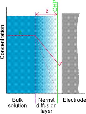 In this layer, transport of matter is only possible by (slow) diffusion, so a concentration gradient forms in it.
