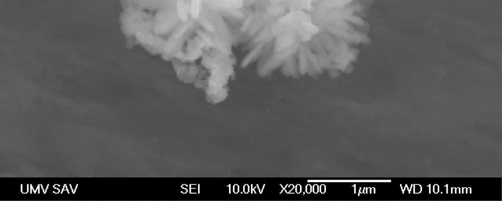 It can be seen that the product is composed of uniform rodlike structures with the diameter of 7 10 nm and length of 30 60 nm. IR spectroscopy confirmed goethite (FeOOH) structure in the sample HA.