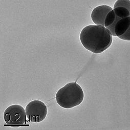 the magnetic nanoparticles. We obtain nanobeads of diameters from 150 to 200 nm.