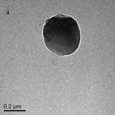 Therefore, a P4VP-PEG block-co-polymer was employed instead of P4VP to encapsulate iron oxide nanoparticles using the