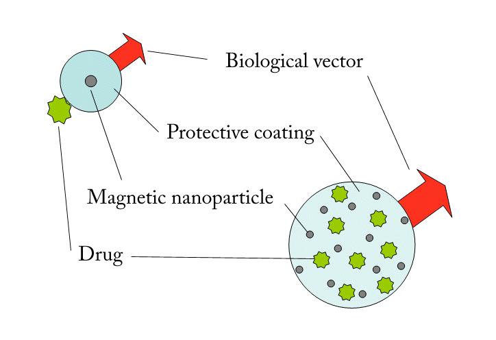1.3. Core-Shell structures of MNPs used in medicine 17 This requirement restricts severely the type of compounds used for the magnetic nucleus and the shell. Figure 1.