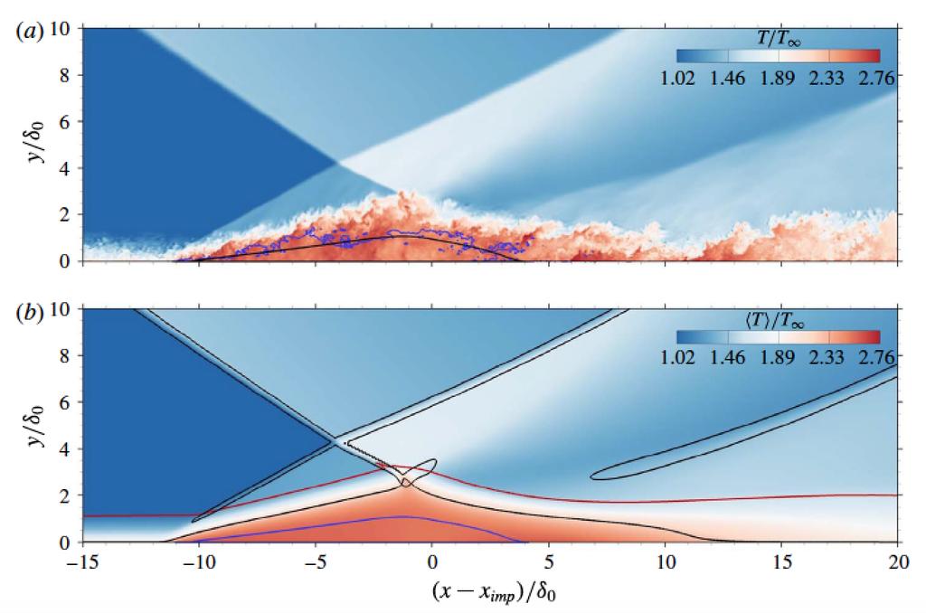 shock-boundary layer interaction. Taken from (Pasquariello et al.
