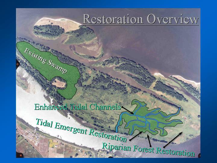 Rolling Provincial Review: Implementation 2001-2004 Project 200300800 Preserve and Restore Columbia River Estuary Islands to Enhance Juvenile Salmonid and Columbian White-tailed Deer Habitat