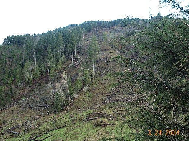 Landslides and sediment production from forest roads are the two largest sources of