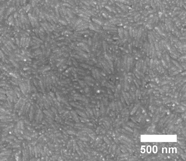 SEM images close to (a) the top surface of the TiO 2 nanoparticle layer and (b) the interface between the TiO 2