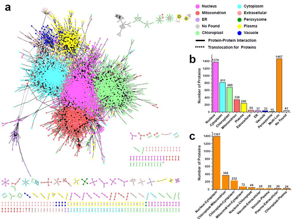 Organelle-focused proteomes and interactomes in rice A total of 55,342 proteins (accounting for 83.