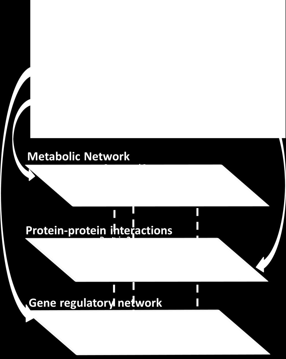 Integrate the gene regulations into the metabolic network.