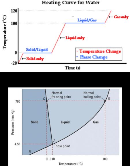 Directions: A student conducted an experiment where she heated up a sample of water. Her heating curve is below. Use it as well as the phase diagram to answer the next set of questions. 23.