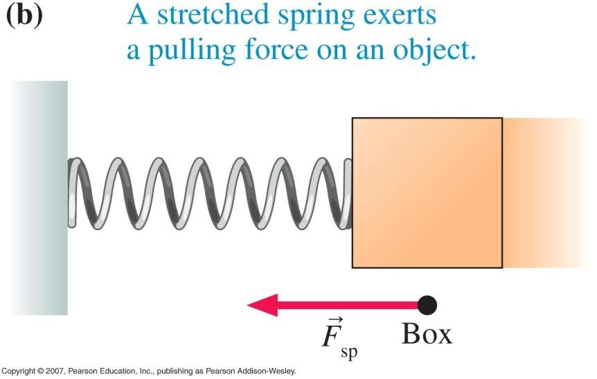 Some Common Forces Spring force: If a spring is compressed or stretched, it will exert a force on the objects to which it is attached (at