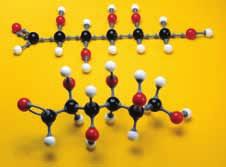 DI Key Activity B23 Quick Lab Building Molecular Models Chemists use models to gain information about the shape of a molecule. The shape of a molecule is a good predictor of its properties.