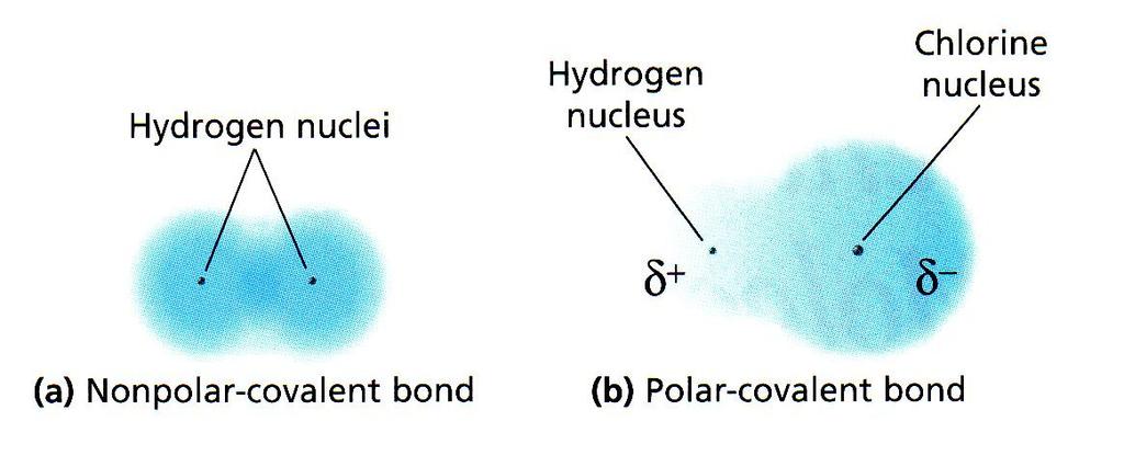 Na - 1 electron Negative ions are larger than atoms of the same element. More electrons means more repulsion. Cl - has radius of almost 2x the radius of Cl atom.
