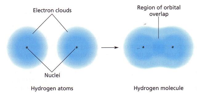 break a chemical bond and form neutral