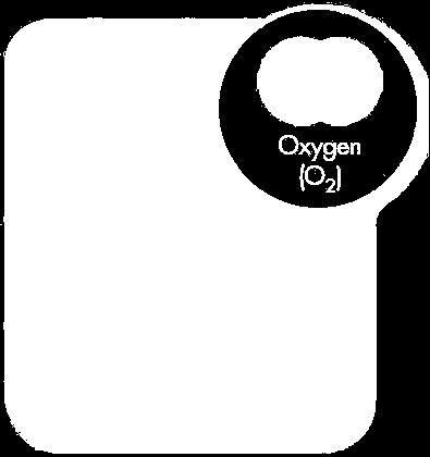 Scuba divers breath compressed air, a mixture that contains oxygen