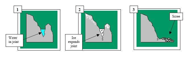 C. (i) Fold mountains, e.g. Himalayas. (ii) Mid-ocean ridges, e.g. Mid-Atlantic Ridge.