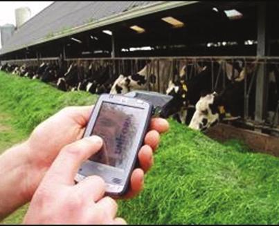 March 2011 Catalog 3 Quality Milk Through Technology HerdMetrix PDA HerdMetrix software for PDA provides access to management reports through your PDA device.