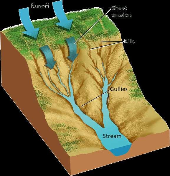 Erosion by Runoff As water from precipitation