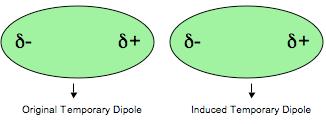 Attractive forces: London dispersion forces: extremely weak attractive forces between atoms or molecules caused by the electrostatic attraction between temporary induced dipoles.