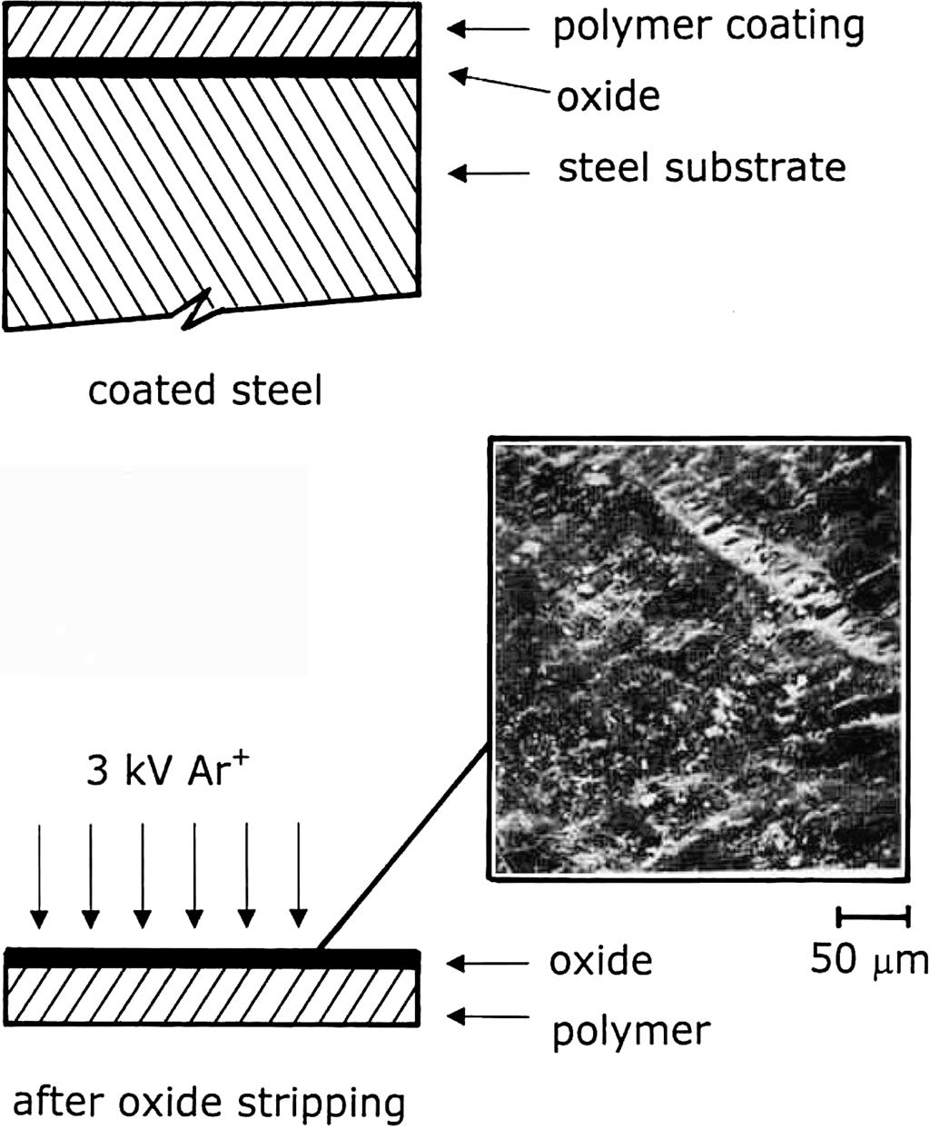 1.3 The Buried Interface 11 strate chemically, but not the oxide layer, and then mount the duplex polymer/oxide film for analysis in the spectrometer with the oxide side uppermost.