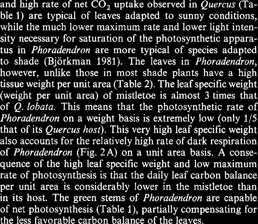 Each of these responses is discussed in turn. CO, exchange and stomata1 conductance of Q. lobata and on a unit area basis are shown as a function of photosynthetically active photon flux in Figs.