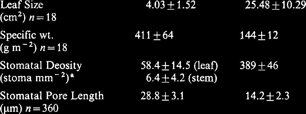 Table 2. Leaf characteristics of and Leaf Size 4.03 1.52 25.48 & 10.29 (cm2) n=18 Specific wt. 411 k64 144k 12 (g1n-~)n=18 Stornatal Deosity 58.4k 14.5 (leaf) 389 f 46 (stoma rnrn-,)' 6.4k4.