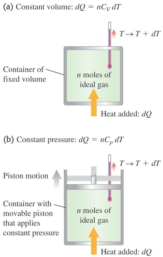 Heat capacities of an ideal gas C V is the molar heat capacity at constant volume.